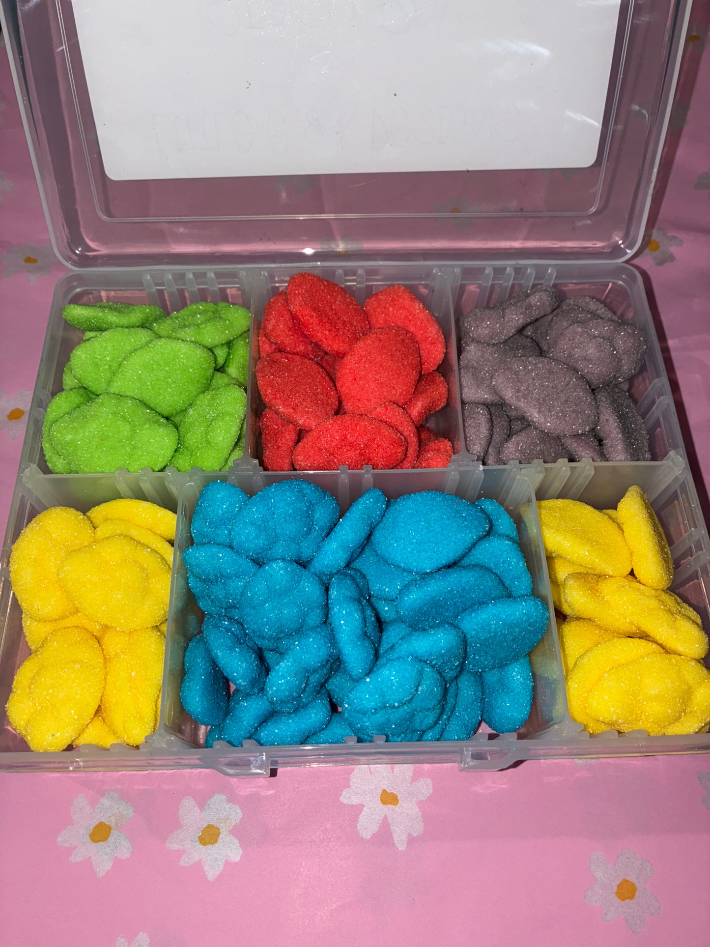 6 Compartment Stash Box